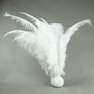 witte struisvogelveren | decoratieve veren | decoratie veren