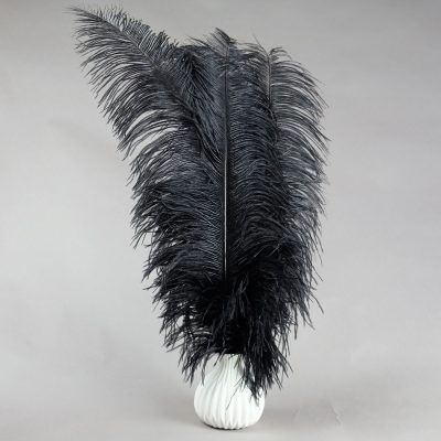 zwarte struisvogelveren | decoratieve veren | decoratie veren
