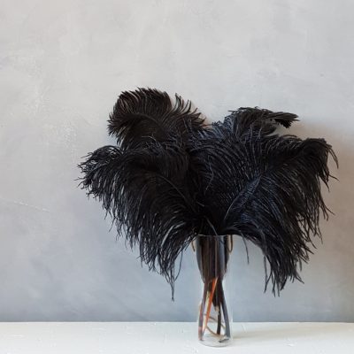 struisvogelveren zwart | decoratieve veren | decoratie veren